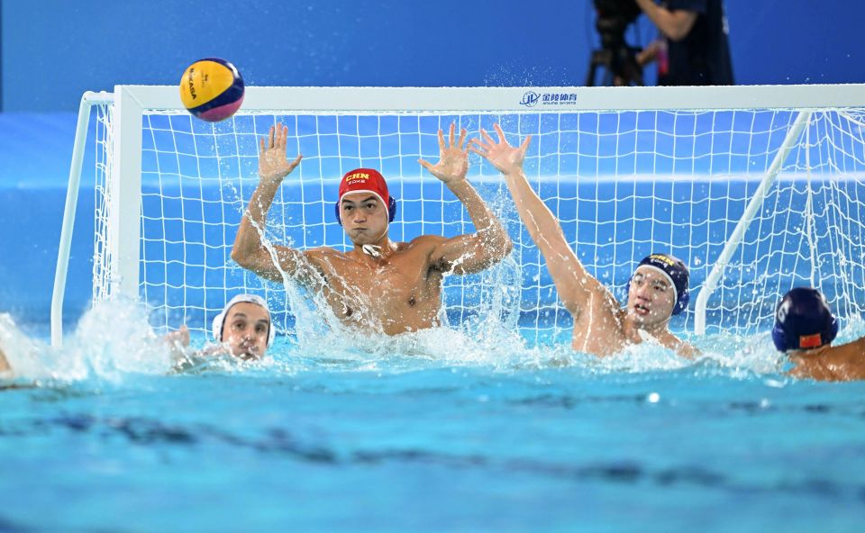 sizin, 球赛事体系, Ag sizin, 球赛事体系, Ag